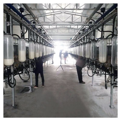 380v 7.5kw Herringbone Milking Parlor untuk peternakan kambing