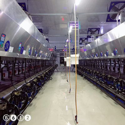 Metering Digital 220v 10 Unit Milking Parlor Jenis Herringbone