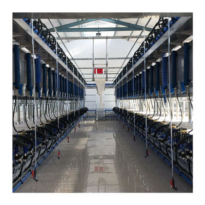 Digital Vacuum 50Kpa Herringbone Milking Parlor Untuk Peternakan Perah