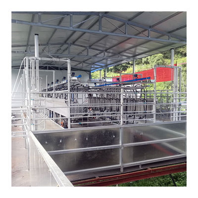 Domba 100 Points Herringbone Milking Parlour sistem pemerahan otomatis