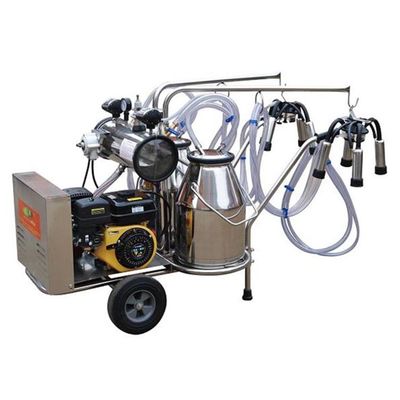 Dairy Farm Electric Automatic Diesel Kambing Mesin Pemerah Susu Sapi 2 Ember