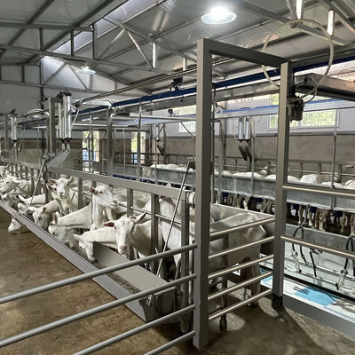 Peternakan Susu Produktivitas Tinggi Peralatan Ruang Pemerahan Susu Kambing Fleksibel