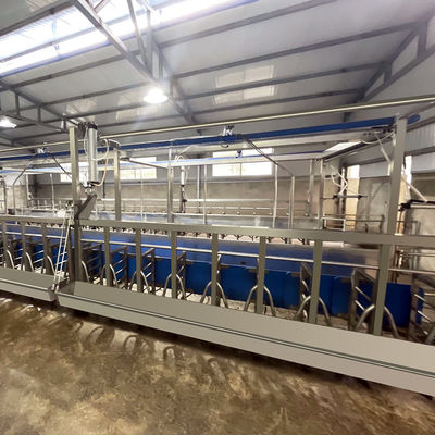 SUS304 Kambing Herringbone Milking Parlor Feeding Melalui Pipa Jenis Keluar Cepat