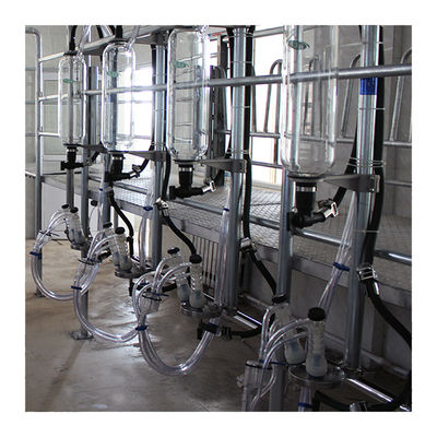 Garis Paralel Mesin Susu Otomatis Herringbone Milking Parlour 20T / H