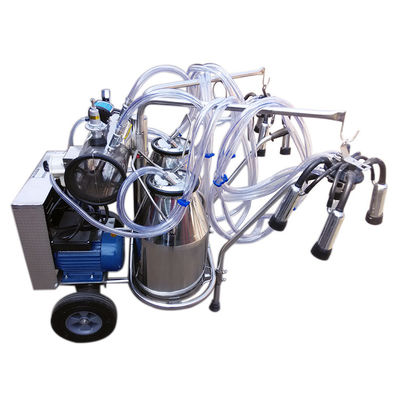 Mesin Pemerah Susu Kambing Listrik 1.1KW Pulsasi Gas Dengan Ember Lepas