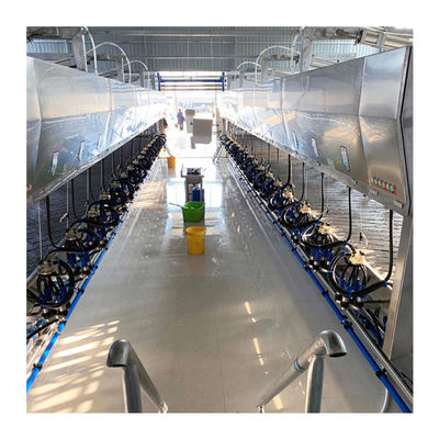 Rilis Cepat Paralel Sapi Herringbone Milking Parlour Otomatis