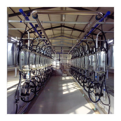kontrol listrik 60RPM Modern Milking Parlor for Buffalo