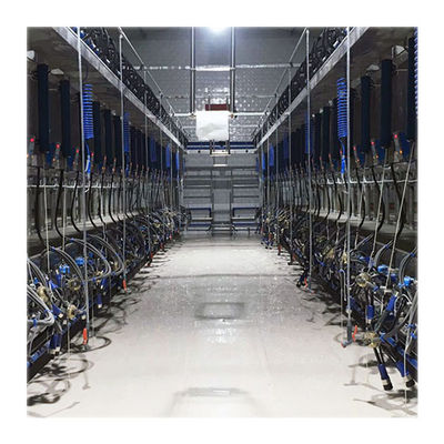 Digital Vacuum 50Kpa Herringbone Milking Parlor Untuk Peternakan Perah