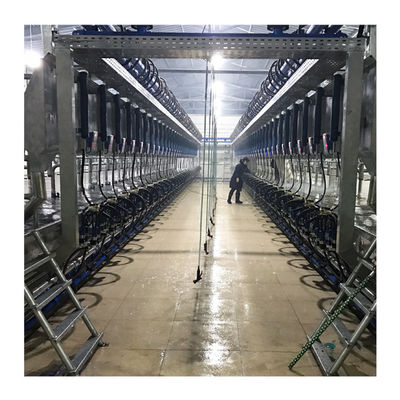 Digital Vacuum 50Kpa Herringbone Milking Parlor Untuk Peternakan Perah