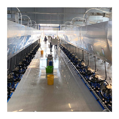 tipe rilis cepat ISO9001 Abreast Milking Parlor dengan Pengukuran Elektronik