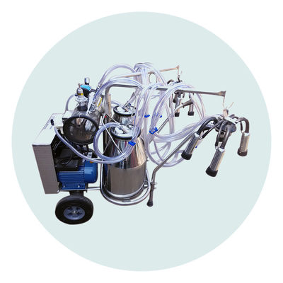 180V Mesin Perah Sapi Perah Food Grade Stainless Steel