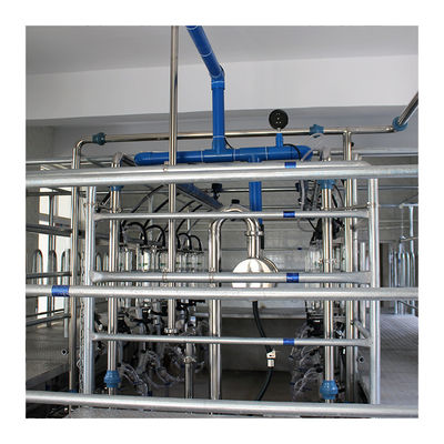 Domba 100 Points Herringbone Milking Parlour sistem pemerahan otomatis