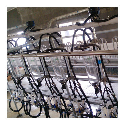 Domba 100 Points Herringbone Milking Parlour sistem pemerahan otomatis