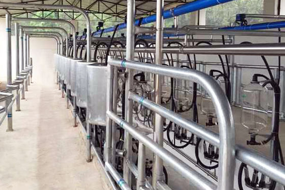 herringbone tipe 5T / jam 20 Unit Milking Parlor Kebisingan Rendah Automatic Milking Parlor