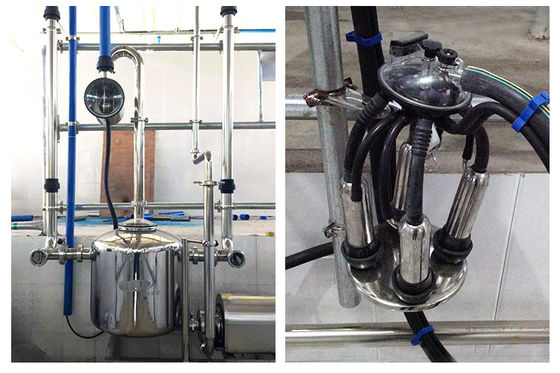 herringbone tipe 5T / jam 20 Unit Milking Parlor Kebisingan Rendah Automatic Milking Parlor