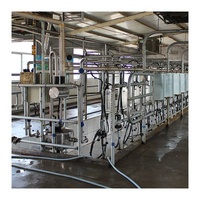 Sapi 60 poin Herringbone Milking Parlor Automatic Clean
