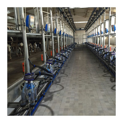 Bekerja Vakum 50KPa 2.2kw Mesin Pemerah Susu Herringbone Untuk Peternakan Perah
