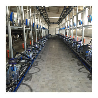 Bekerja Vakum 50KPa 2.2kw Mesin Pemerah Susu Herringbone Untuk Peternakan Perah