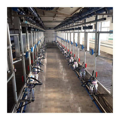 Bekerja Vakum 50KPa 2.2kw Mesin Pemerah Susu Herringbone Untuk Peternakan Perah