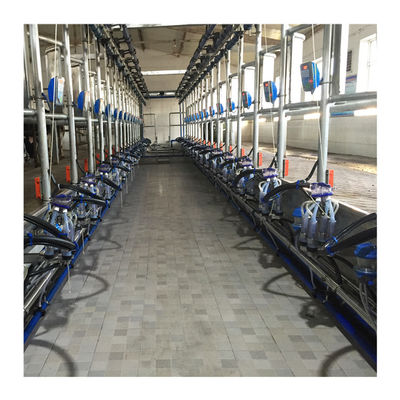 Electric 180v Herringbone Milking Parlour Mesin Pemerah Susu Sapi Otomatis