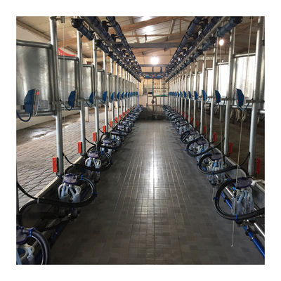 Electric 180v Herringbone Milking Parlour Mesin Pemerah Susu Sapi Otomatis