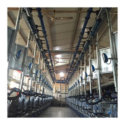 Electric 180v Herringbone Milking Parlour Mesin Pemerah Susu Sapi Otomatis