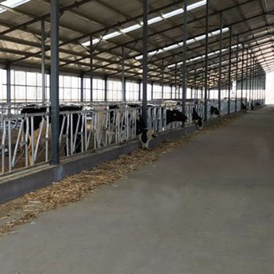 Gerbang Kepala Sapi Penutupan Sendiri yang Disesuaikan, Tetap Besar
