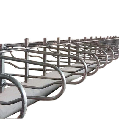 Head to head Type 1.30m / cow Fence Cattle Free Stall Adjustable Size