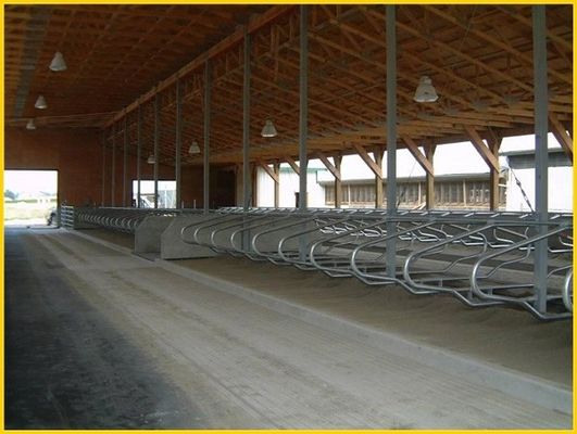 Head to head Type 1.30m / cow Fence Cattle Free Stall Adjustable Size