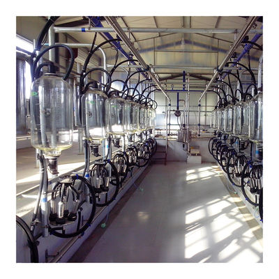 380v 7.5KW Jenis Herringbone Milking Parlor Otomatis