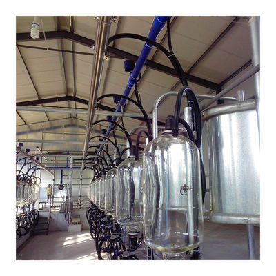 380v 7.5KW Jenis Herringbone Milking Parlor Otomatis