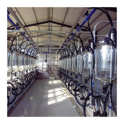 380v 7.5KW Jenis Herringbone Milking Parlor Otomatis