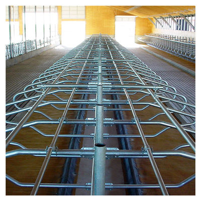 Hot Galvanized Free Stall Barn, Loop Stall Gratis ISO9001