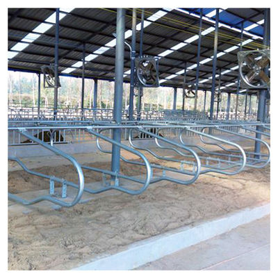 Hot Galvanized Free Stall Barn, Loop Stall Gratis ISO9001