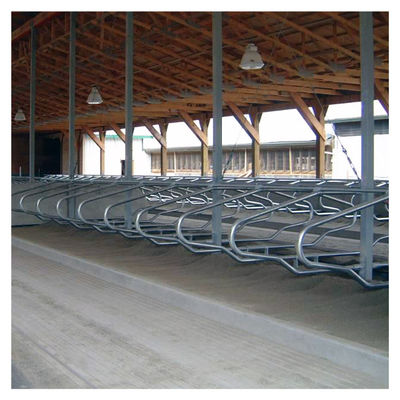 Hot Galvanized Free Stall Barn, Loop Stall Gratis ISO9001