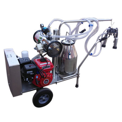 Mesin Pemerah Susu Sapi Kerbau Bensin Single Portable Donkey Turkey