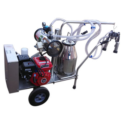 Mesin Pemerah Susu Sapi Kerbau Bensin Single Portable Donkey Turkey