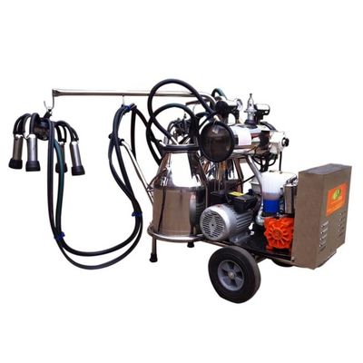 Dairy Farm Electric Automatic Diesel Kambing Mesin Pemerah Susu Sapi 2 Ember