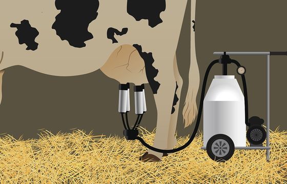 Mesin Diesel Mobile Sapi Mesin Pemerah Susu Portabel Pompa Vakum Kambing Listrik