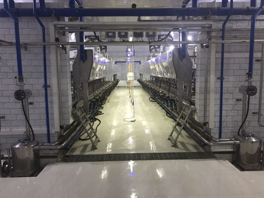 Metrologi Elektronik Herringbone Milking Parlour Mesin Sapi Otomatis