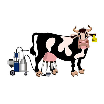 Mesin Peternakan Kambing Di Mesin Pemerah Susu Jenis Piston Pakistan Untuk Sapi