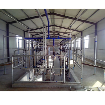 SS304 Herringbone Parlor Sistem Pemerah Susu Peralatan Sapi Perah