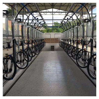 Peternakan Susu Kambing Sapi Herringbone Milking Parlor Sistem Pengukuran Botol Kaca