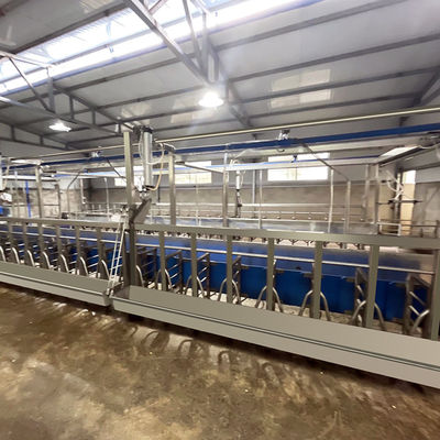 Sheep Parallel Fast Mode Milking Parlor Equipment Mudah Dioperasikan