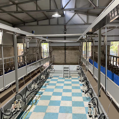Meteran Listrik Digital Sheep Goat Milking Parlor Peralatan Kondisi Baru