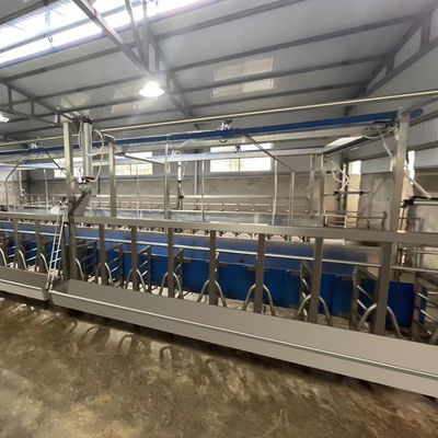Meteran Listrik Digital Sheep Goat Milking Parlor Peralatan Kondisi Baru