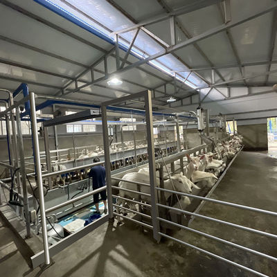 Meteran Listrik Digital Sheep Goat Milking Parlor Peralatan Kondisi Baru