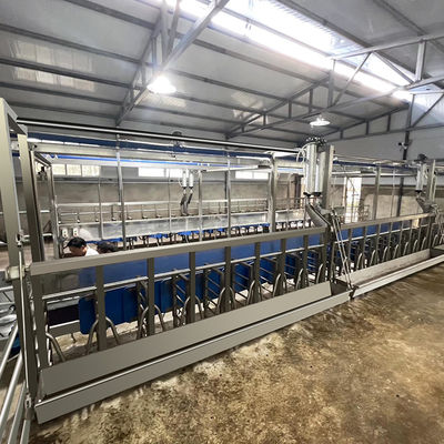 Meteran Listrik Digital Sheep Goat Milking Parlor Peralatan Kondisi Baru