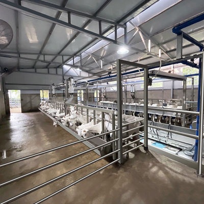 Meteran Listrik Digital Sheep Goat Milking Parlor Peralatan Kondisi Baru