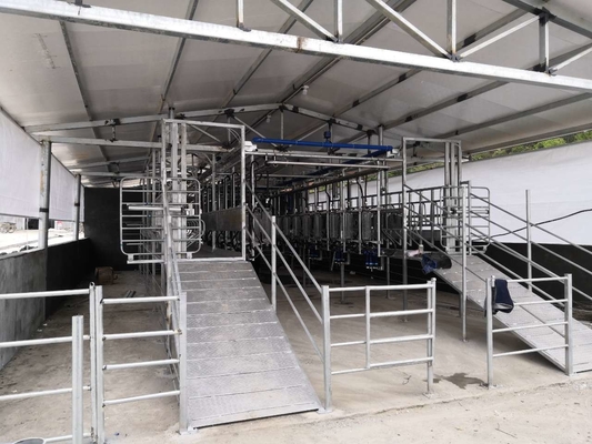 Tempat Pemerahan Susu Kambing Herringbone SUS304 yang Dapat Disesuaikan